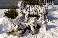 символы 2022 года тигры