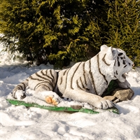 тигр символ 2022