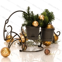 цветочница тигр