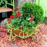 Вазон, цвет: зелёный