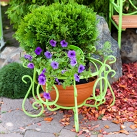 Вазон в ландшафтном дизайне