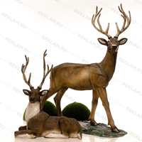 олень благородный