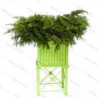 кадка из дерева