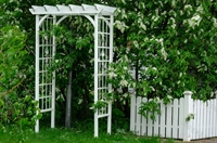 садовая арка