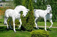 парковая скульптура коня