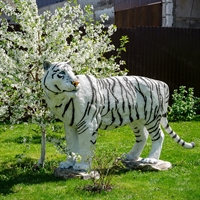 символ 2022 года тигр амурский