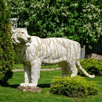 символ 2022 года тигр