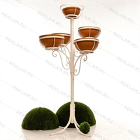 озеленение города