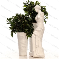 Статуя Венера Статуя Венера