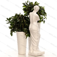 статуя венера статуя венера