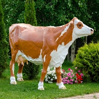 Фигура Корова симментальской породы