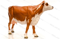 корова в натуральный рост