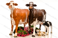 парковая фигура корова