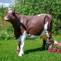 Объемная фигура Корова симментальской породы - фото 31807 Объемная фигура Корова симментальской породы - фото 31807