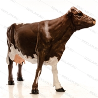 фигура корова в натуральный рост фигура корова в натуральный рост