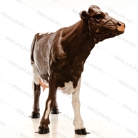 садовая фигура корова садовая фигура корова