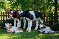 купить фигуры телят