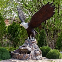 орел для сада орел