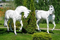 парковая скульптура коня