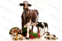 фигуры для молочного магазина