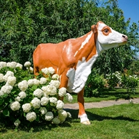 Фигура Корова симментальской породы