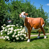 Фигура Корова симментальской породы