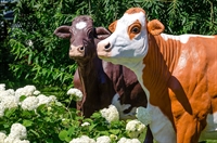 Фигура Корова симментальской породы