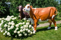 Рекламная фигура Корова