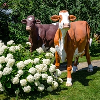 Фигура Корова симментальской породы