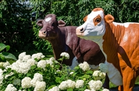 Объемная фигура Корова Объемная фигура Корова