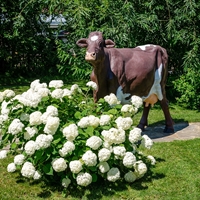 Объемная фигура Корова симментальской породы Объемная фигура Корова симментальской породы