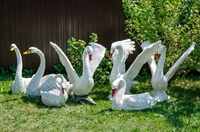 садовые фигуры лебеди