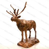 олень северный