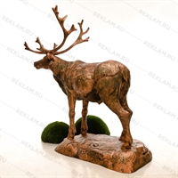 олень северный