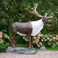 северный олень