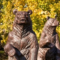 ростовая фигура медведя