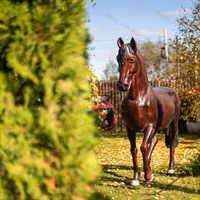 скульптура Конь вороной