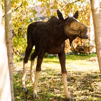 парковая скульптура лосиха