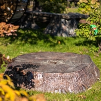 крышка люка пень