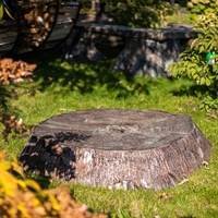 крышка люка пень