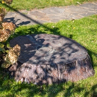 крышка люка пень