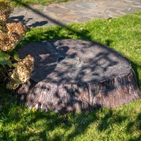 крышка для маскировки люка пень