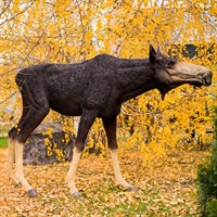 фигура лосиха