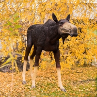 декоративная фигура лосиха