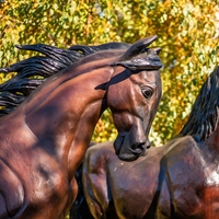 ростовая фигура конь арабский