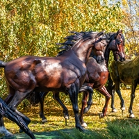 фигура конь арабский скакун