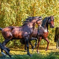 объемная фигура конь арабский