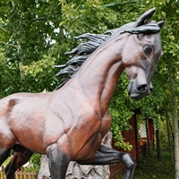 арабский скакун