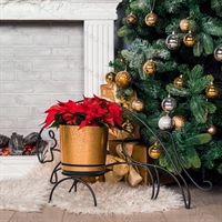 цветочница тигр