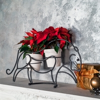 цветочница тигр